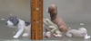 (4) "Llardo" Figurines - 2