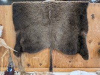Tanned Bison Hide