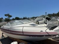 1993 19' Wellcraft (Spring Valley, CA) - 2024250100066601-001-0000