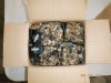Miscellaneous Items (Asiana/Torrance, CA)