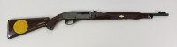 Remington Nylon 66 Rifle