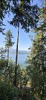 Residential Land - 2