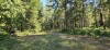 Residential Land - 7
