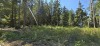 Residential Land - 9
