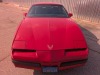 1986 Pontiac Firebird V8 - 5