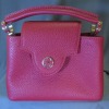 Louis Vuitton Mini Handbag (Riverside, CA)