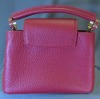 Louis Vuitton Mini Handbag (Riverside, CA) - 2