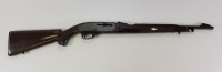 Remington Commemorative Nylon 66 Rifle