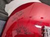 Fender Stratocaster Autographed Guitar - 8