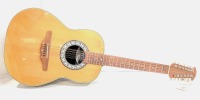 Celebrity Acoustic Guitar