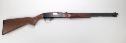 Winchester 190 Rifle