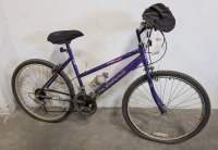 Murray Mt. Rage Mountain Bike