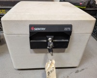Sentry Safe