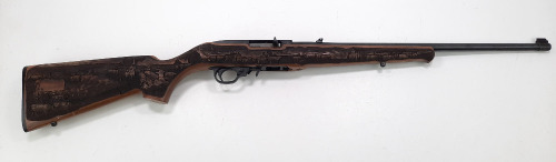 Ruger 10/22 Rifle