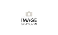 Chainsaws (EXPORT ONLY) (Santa Fe Springs, CA)