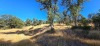 Agricultural Land - 2