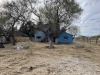 Single Family Home - 2