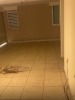 Single Family Home - 4