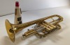 Reynolds Emperor Cornet