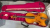 Violin