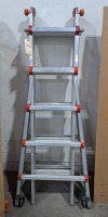 Little Giant Ladder