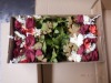 Artificial Flowers & Fabrics (Asiana/Torrance, CA)