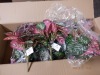 Artificial Flowers & Fabrics (Asiana/Torrance, CA) - 2