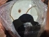 Dinosaur Eggs (Boston Frt/Stoughton, MA) - 4