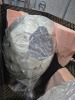 Dinosaur Eggs (Boston Frt/Stoughton, MA) - 5
