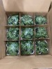 Miscellaneous Arts & Crafts (Faro Svcs/Groveport, OH) - 18
