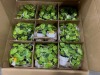 Miscellaneous Arts & Crafts (Faro Svcs/Groveport, OH) - 19