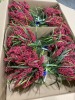 Miscellaneous Arts & Crafts (Faro Svcs/Groveport, OH) - 33
