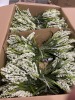 Miscellaneous Arts & Crafts (Faro Svcs/Groveport, OH) - 35