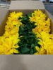Miscellaneous Arts & Crafts (Faro Svcs/Groveport, OH) - 25