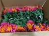 Miscellaneous Arts & Crafts (Faro Svcs/Groveport, OH) - 41