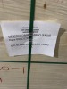 Solar Panel - EXPORT ONLY (J Cioffi/Newark, NJ) - 2