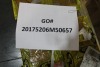 Miscellaneous Goods/Electronics (Magno/Hialeah Gardens, FL) - 7