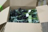 Artificial Plants & Flowers (Norfolk Intl/Norfolk, VA) - 8