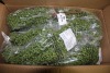 Artificial Plants & Flowers (Virginia Intl/Portsmouth, VA)