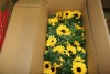 Artificial Plants & Flowers (Virginia Intl/Portsmouth, VA) - 3