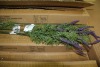 Artificial Plants & Flowers (Virginia Intl/Portsmouth, VA) - 5