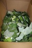 Artificial Plants & Flowers (Virginia Intl/Portsmouth, VA) - 7