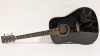 Ibanez Performance Acoustic Guitar