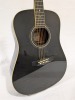Ibanez Performance Acoustic Guitar - 3