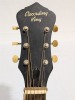 Recording King RPH-03-BK Accustic Guitar - 8
