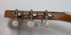Taylor 812ce 12-Fret Acoustic-Electric Guitar - 8
