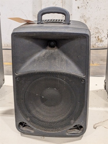 Performance Teknique 2 Way Speaker