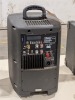 Performance Teknique 2 Way Speaker - 3