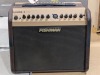 Fishman Loudbox Mini Amp