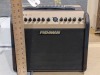 Fishman Loudbox Mini Amp - 2